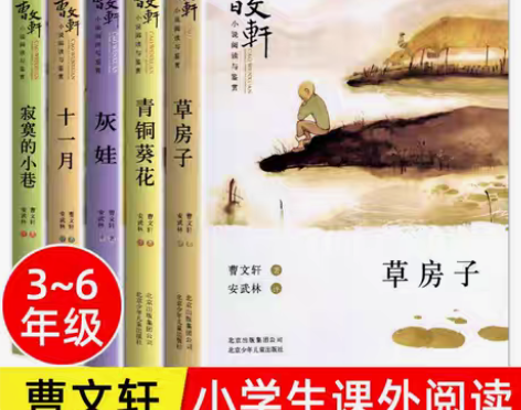 包邮正版包邮精品散文小说集青曹文轩铜葵花小...