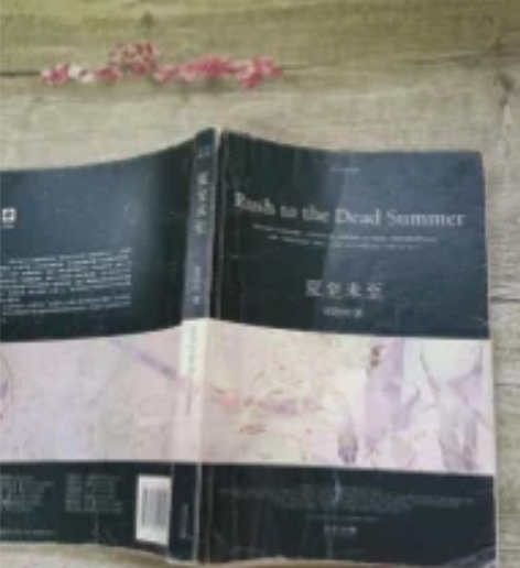 正版二手 夏至未至  郭敬明  长江文艺出...