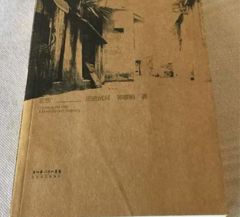 悲伤逆流成河 郭敬明 长江文艺出版社 正版...