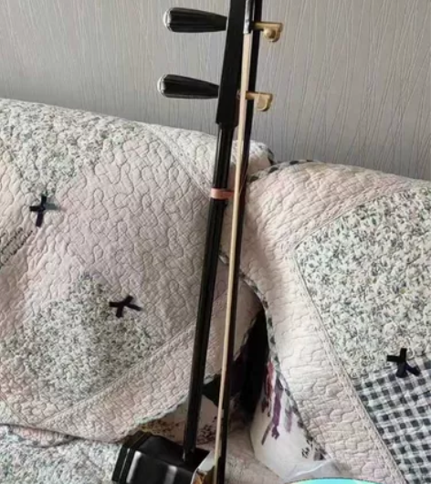 搬家转让原价2380元苏州二胡乐器演奏二胡...