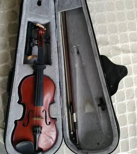 孩子大了，转琴行购买的1/2小提琴 感兴趣...