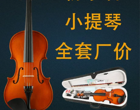 【开学季价】浩成初学者小提琴成人儿童入门练...