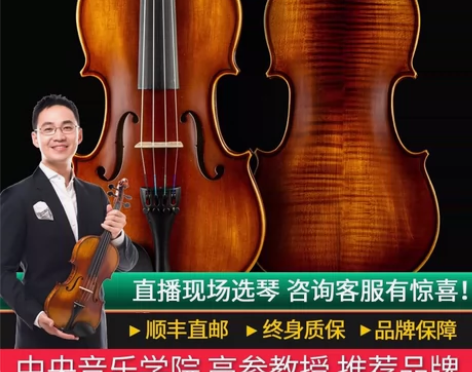 克莉丝蒂娜Christina手工实木小提琴...