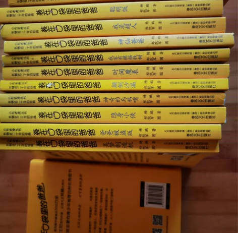 正版图书《装在口袋里的》信誉保证,正版图书...