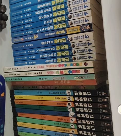 有各种书籍（闲鱼一次只能挂5本，历史类，科...