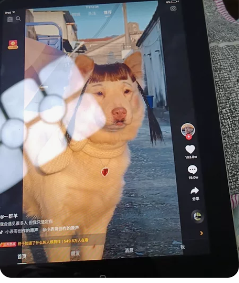 个人自用一手平板 低价出售 换了新的 感兴...