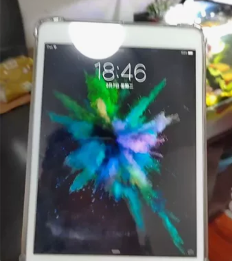 苹果IPad mini（1） 版本：16G...