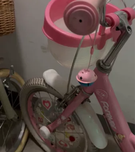 【开学价】永久儿童自行车女童公主款3-4-...