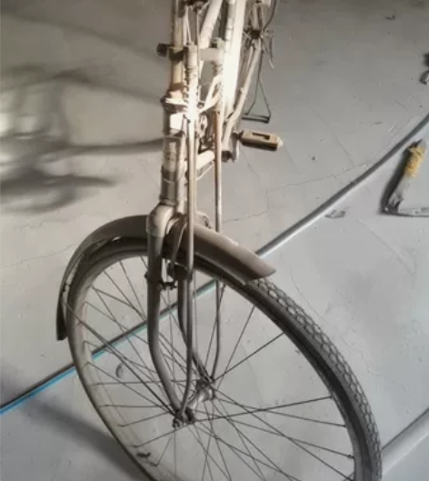 自行车单车脚踏车永久 老永久自行车28大杠...