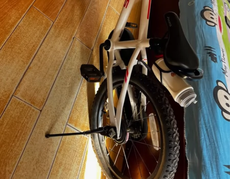 喜德盛小飞侠18寸 8层新550包邮￥400￥5501人想要