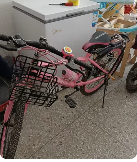 老婆生日礼物，同事买上班骑，没骑几回，现在...