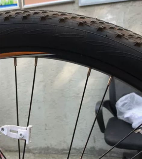 美利达 公爵300 2022年8月13日购...