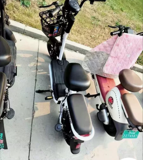 全新飞鸽电动车！！！全新出 感兴趣的话点“...