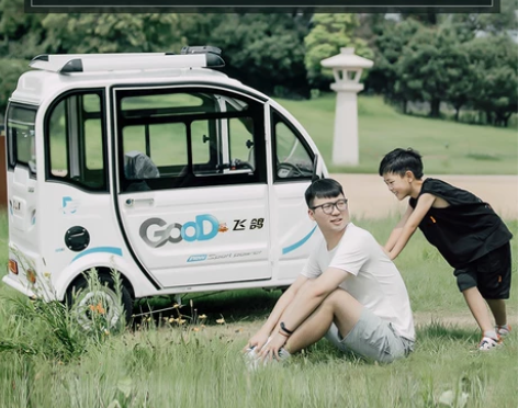 飞鸽电动三轮车家用全封闭小型带棚三轮电动车...