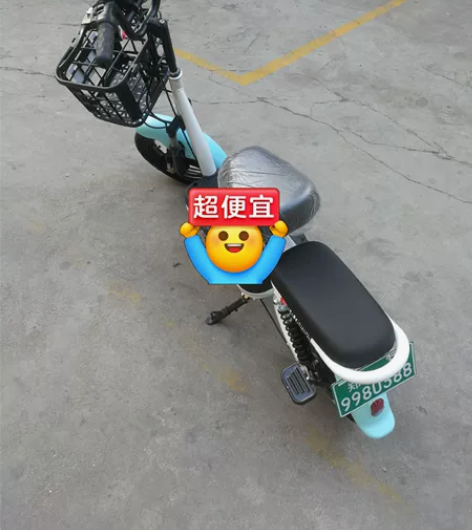 飞鸽电动车原装精品小车非常好用48付电池保...