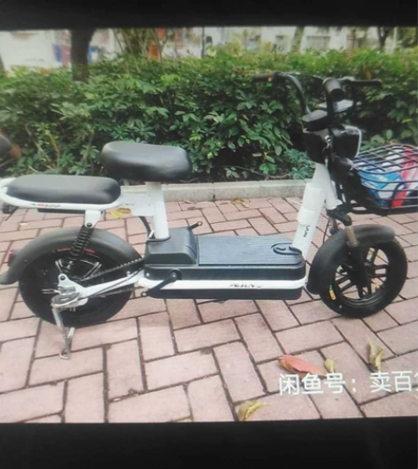 全新电动车飞鸽电瓶车成人电动自行车两轮48...