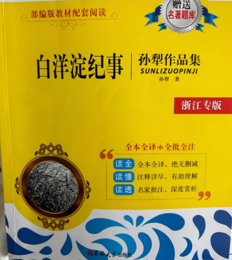 白洋淀纪事 几乎全新低价卖几乎全新¥20