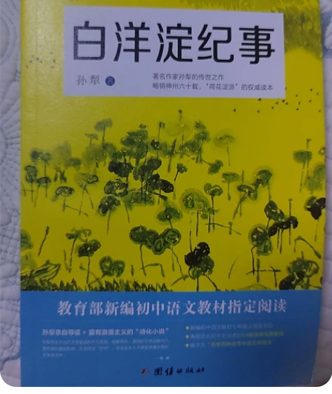《白洋淀纪事》全新，半价出 感兴趣的话点“...