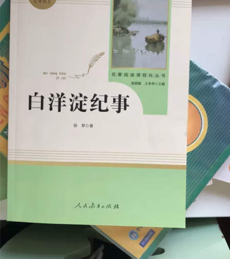 白洋淀纪事，七年级上，全新。入手35.8 ...