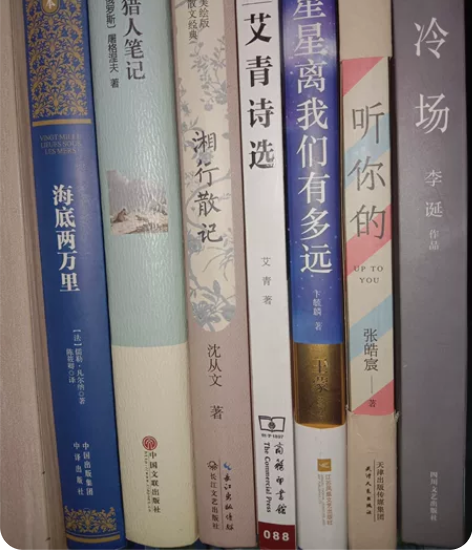 【文学名著】 《海底两万里》 《猎人笔记》...