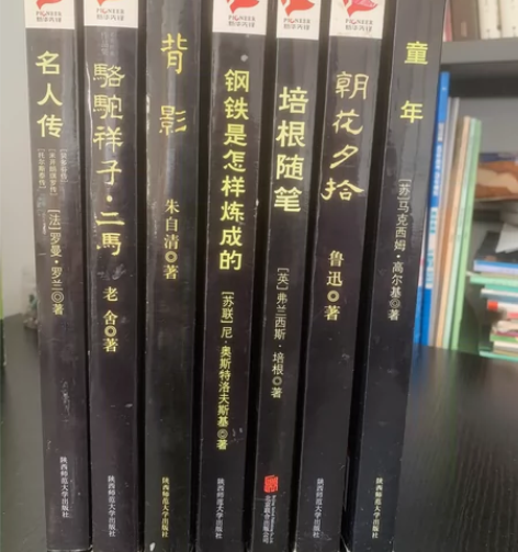 名人传/骆驼祥子/背影/钢铁是怎样炼成的/...