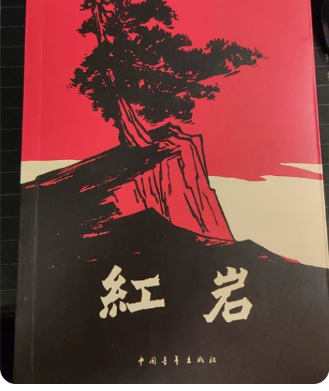 《红岩》 初高中语文必读书籍，保存完好，没...