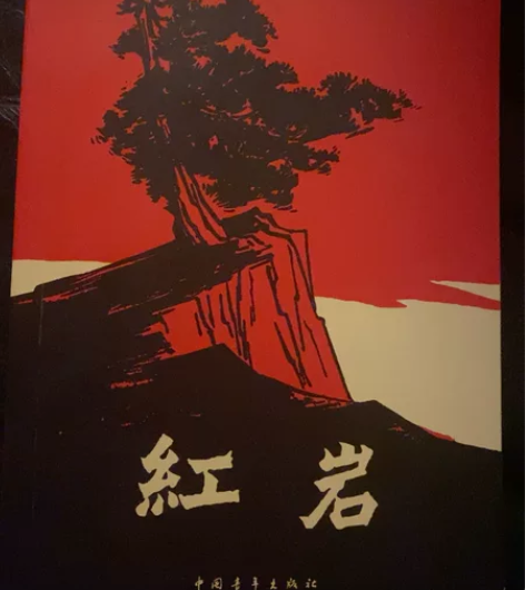 《红岩》，买来翻了几页，基本全新 感兴趣的...