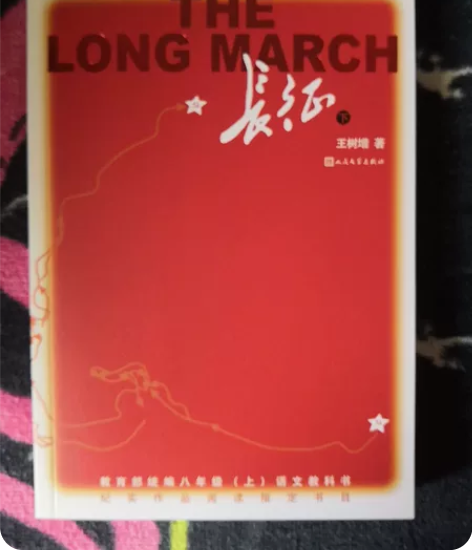 小初中课外书，99新， 10元一本 红星照...