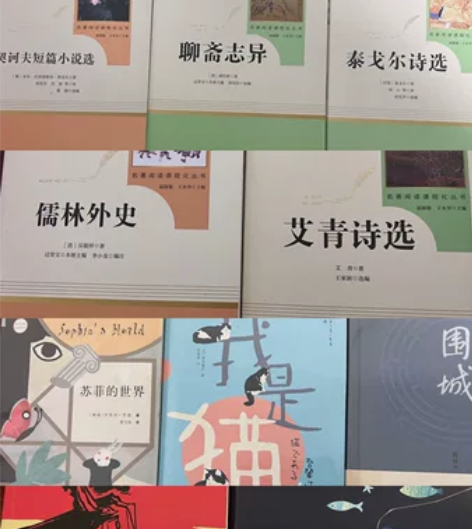 小升初 初中必备读物 价格私信 标价是防拍...