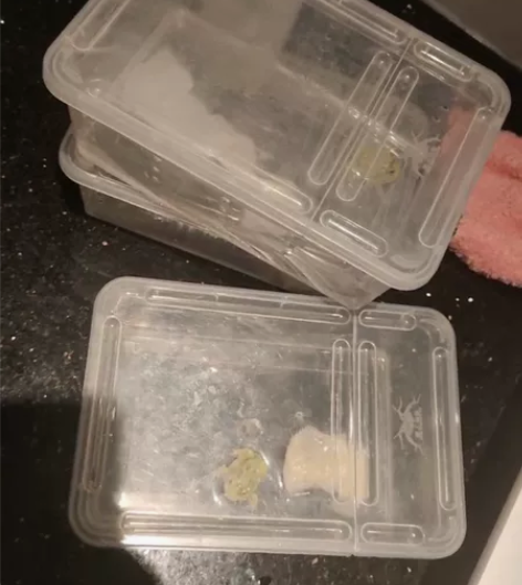 角蛙就这些了 10几块喜欢的同城自提 感兴...