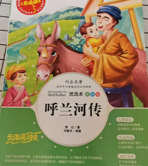 呼兰河传 感兴趣的话点“我想要”和我私聊吧...