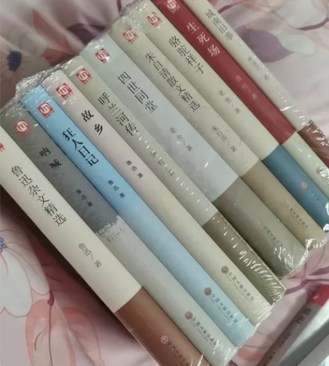 中国十大名著 全新未拆 鲁迅杂文精选 呐喊...