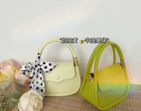 30r出  几个法国小众包包女2021新款...