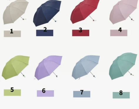 全新天堂伞,2021年新款,只限同城,颜色...