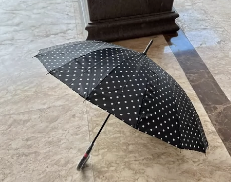 全新 日本 黑色自动波点16骨日式成人长柄...