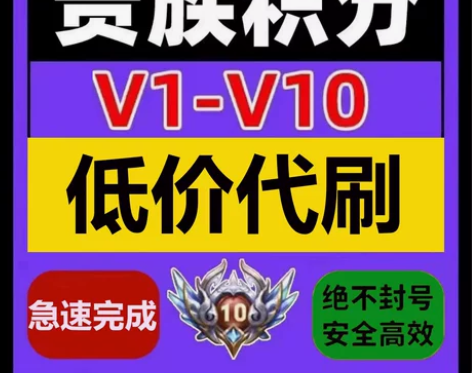 王者送荣耀贵族积分代升V8V10贵族/极速...