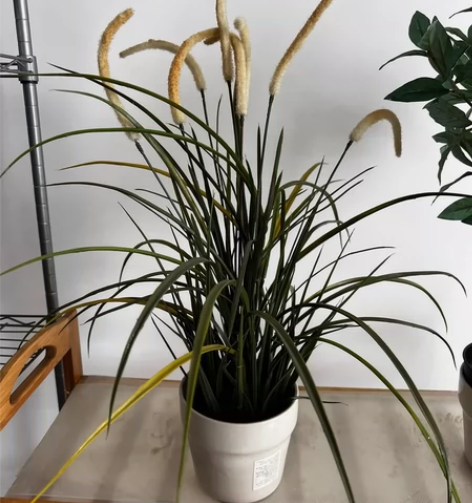 #游戏帐号#带价格来，双若水，胡桃加专武圣...