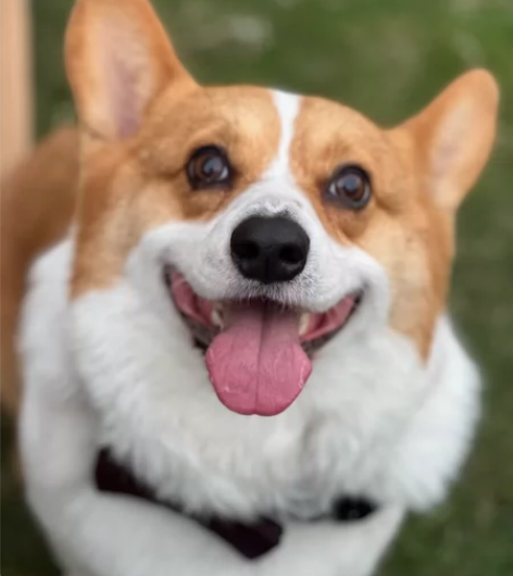 全国联通充值 [1]0-72小时内到账，请...