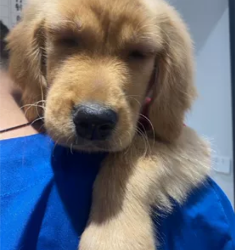 江苏移动475充500 到账请及时收货，故...