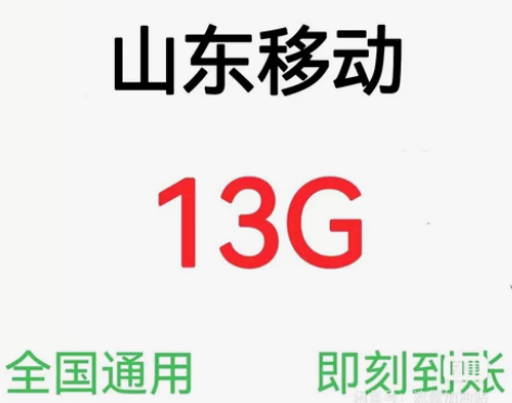 山东移动流量 13GB 7天（不扣费！） ...