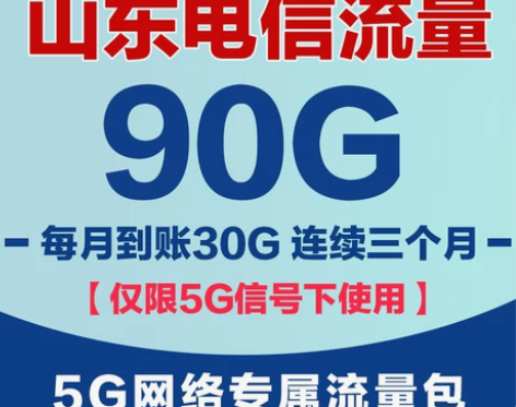 山东电信流量充值90G流量包5G网络专用