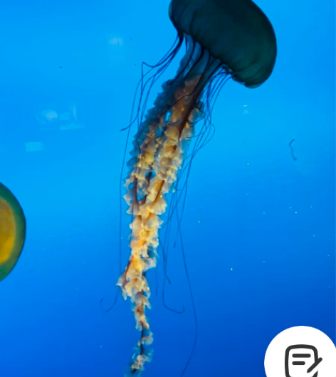 中石化 中国石化充值 卡充值、或易捷一键...