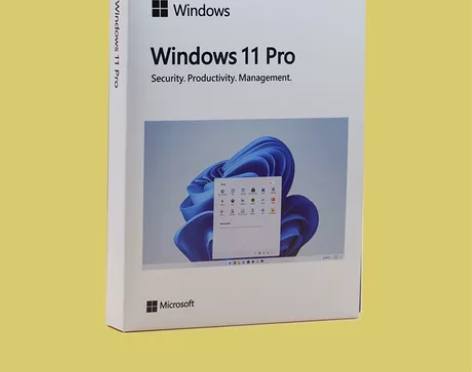 正版win10专业版系统盘 正版win11...