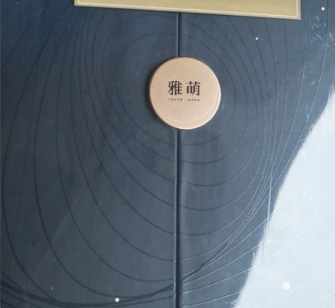 雅萌pro美容仪，全新正品，里面自带一个凝...