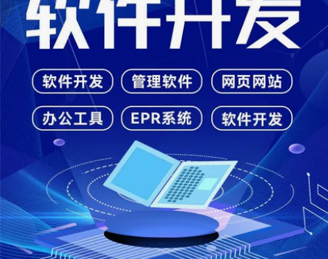 软件定制开发java代做python编程a...