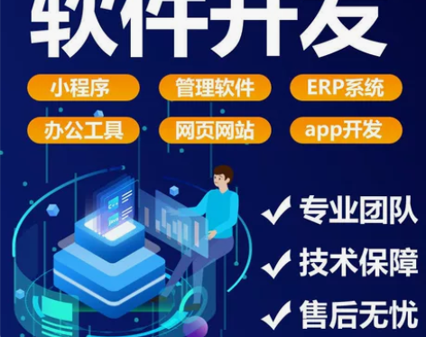 软件开发代做python编程app定制小程...
