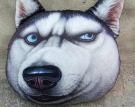 php网站定制二次开发,app小程序,后期...