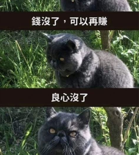 承接电脑重装系统(win11 win10 ...