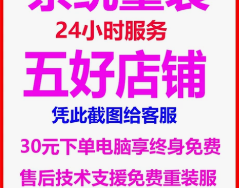 远程重装软件 系统win10 win11 ...