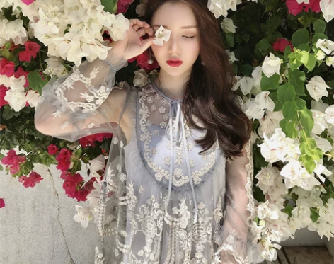 李雨薇 订制夏季韩版重工刺绣长袖网纱透视连...